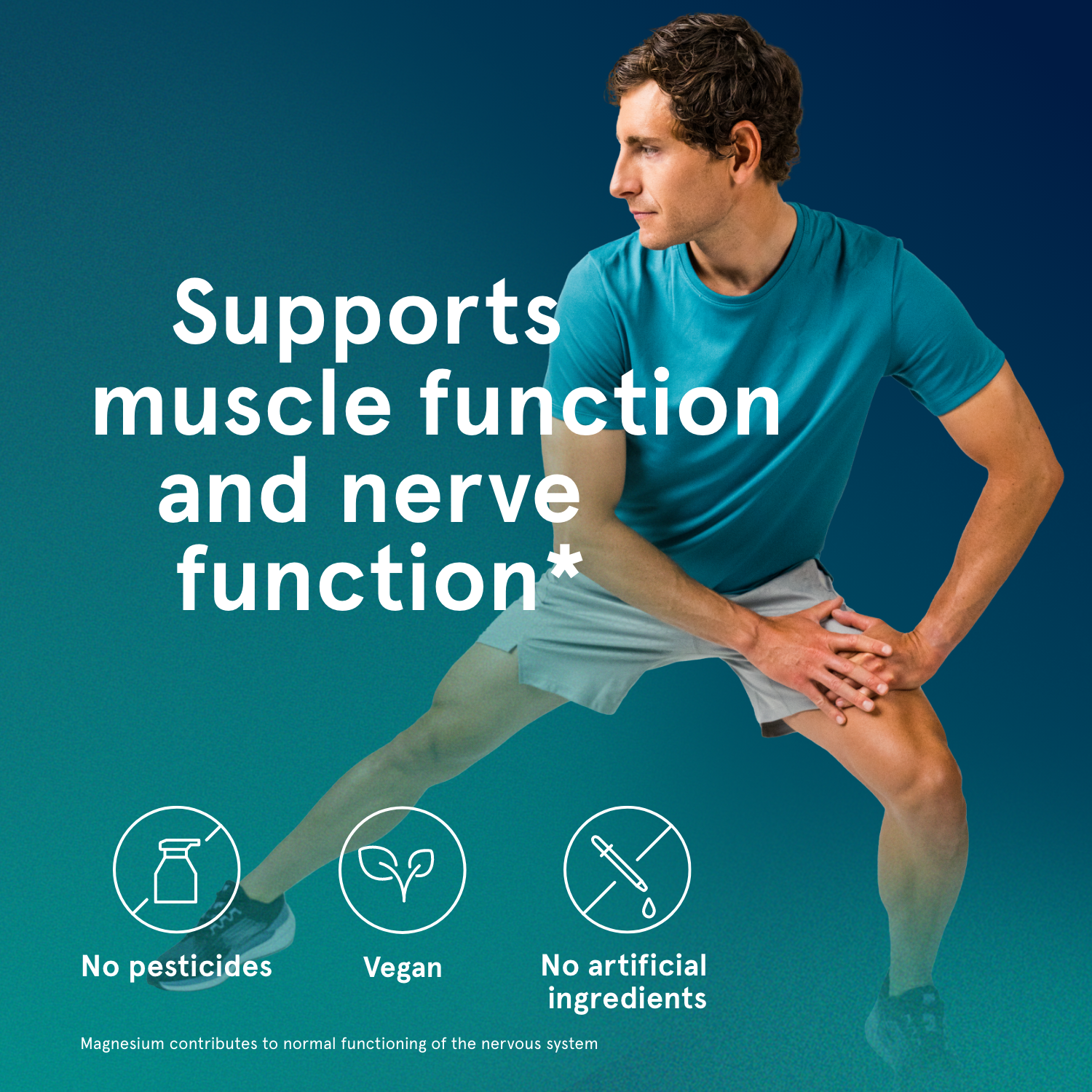 M3 - Magnesium Complex